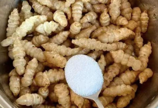 Loại rau dại hình dạng giống con sâu, được ví như nhân sâm - Hình 13 Loai rau dai hinh dang giong con sau, duoc vi nhu nhan sam-Hinh-13