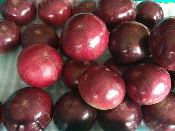 Loại quả xuất khẩu trên thế giới, có hàm lượng sắt gấp 4 lần táo - Hình 3 Loai qua xuat khau tren the gioi, co ham luong sat gap 4 lan tao-Hinh-3