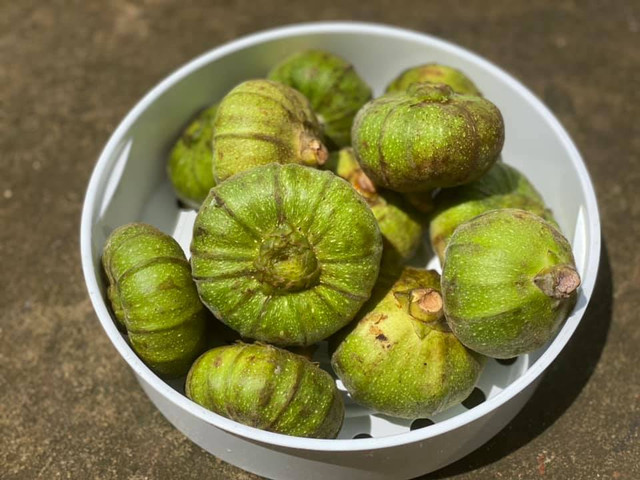 Loại quả dại ít người biết ăn lại tốt cho bà bầu Loai qua dai it nguoi biet an lai tot cho ba bau