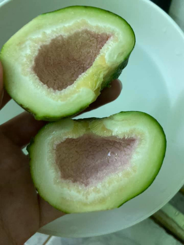 Loại quả dại ít người biết ăn lại tốt cho bà bầu - Hình 3 Loai qua dai it nguoi biet an lai tot cho ba bau-Hinh-3
