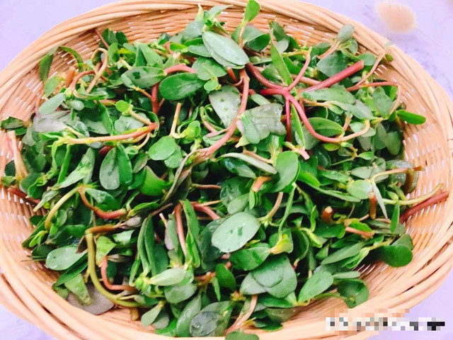 Loại rau dại xưa mọc đầy đường, nay được coi như báu vật - Hình 3 Loai rau dai xua moc day duong, nay duoc coi nhu bau vat-Hinh-3