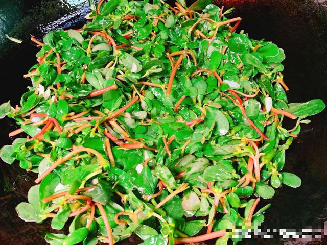 Loại rau dại xưa mọc đầy đường, nay được coi như báu vật - Hình 4 Loai rau dai xua moc day duong, nay duoc coi nhu bau vat-Hinh-4