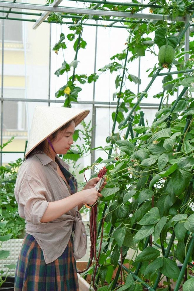 Đôi vợ chồng 8X dỡ mái nhà, chi 80 triệu trồng rau trên nóc - Hình 6 Doi vo chong 8X do mai nha, chi 80 trieu trong rau tren noc-Hinh-6