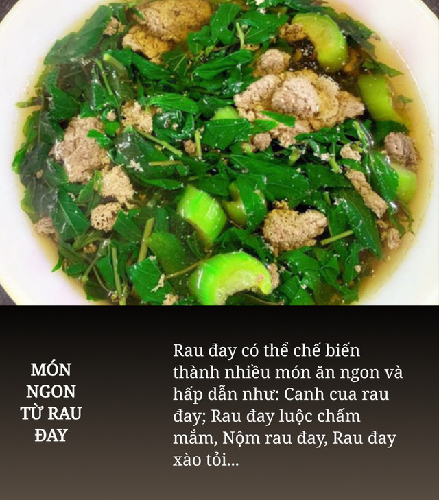 Loại rau nhơn nhớt lượng canxi không kém sữa, nên ăn thường xuyên - Hình 5 Loai rau nhon nhot luong canxi khong kem sua, nen an thuong xuyen-Hinh-5