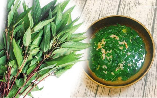 Loại rau nhơn nhớt lượng canxi không kém sữa, nên ăn thường xuyên - Hình 4 Loai rau nhon nhot luong canxi khong kem sua, nen an thuong xuyen-Hinh-4