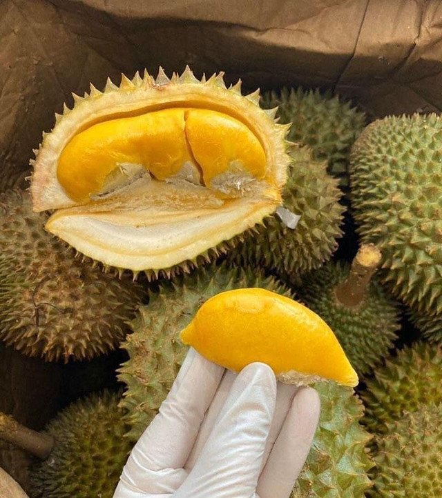 Sầu riêng Thái Lan dội chợ, giá đắt gấp đôi hàng Việt vẫn ‘cháy’ - Hình 2 Sau rieng Thai Lan doi cho, gia dat gap doi hang Viet van ‘chay’-Hinh-2