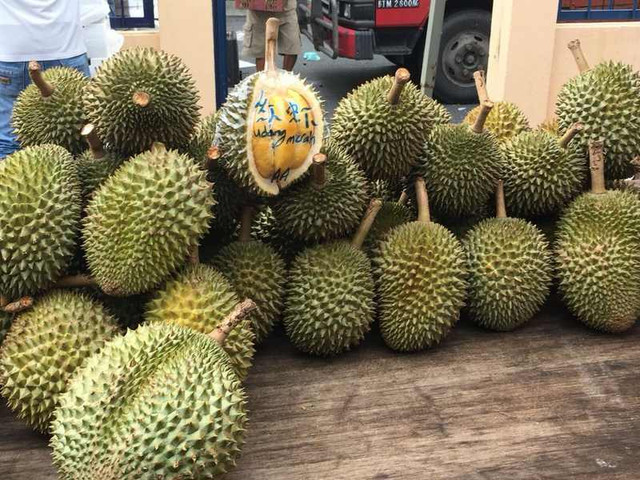 Bí quyết chọn sầu riêng ngọt mềm, cơm dày: Người bán không bao giờ tiết lộ Bi quyet chon sau rieng ngot mem, com day: Nguoi ban khong bao gio tiet lo