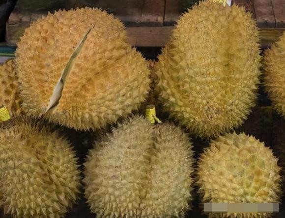 Bí quyết chọn sầu riêng ngọt mềm, cơm dày: Người bán không bao giờ tiết lộ - Hình 2 Bi quyet chon sau rieng ngot mem, com day: Nguoi ban khong bao gio tiet lo-Hinh-2