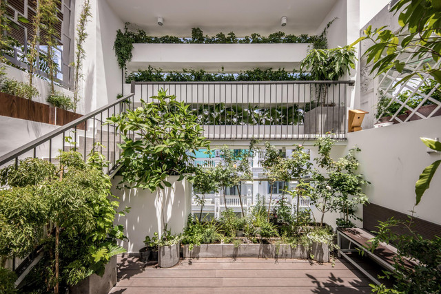 Vườn trong nhà phố - ngôi nhà của ánh sáng, giảm hiệu ứng tiêu cực đô thị - Hình 10 Vuon trong nha pho - ngoi nha cua anh sang, giam hieu ung tieu cuc do thi-Hinh-10