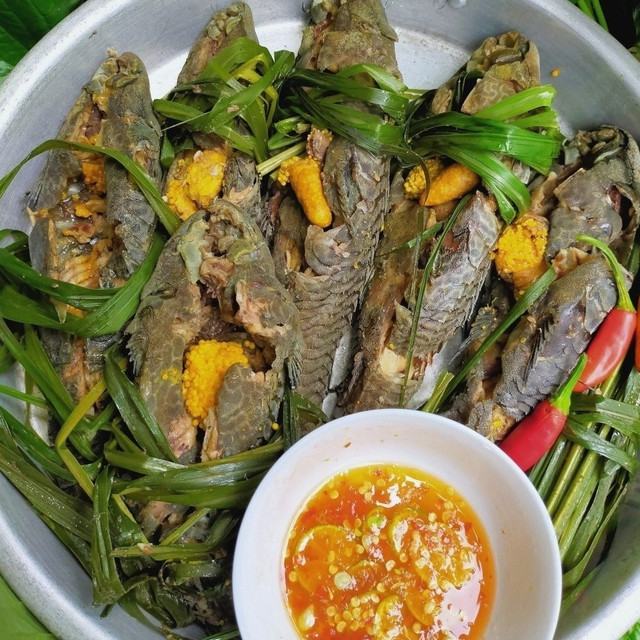 Loài cá hình dáng gây khiếp sợ nhưng cực thơm ngon, bổ dưỡng - Hình 2 Loai ca hinh dang gay khiep so nhung cuc thom ngon, bo duong-Hinh-2
