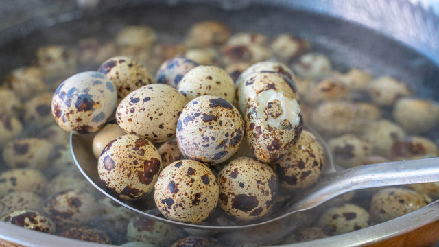 Loại quả “nhỏ mà có võ”, giàu protein, tăng cường trí não - Hình 4 Loai qua “nho ma co vo”, giau protein, tang cuong tri nao-Hinh-4
