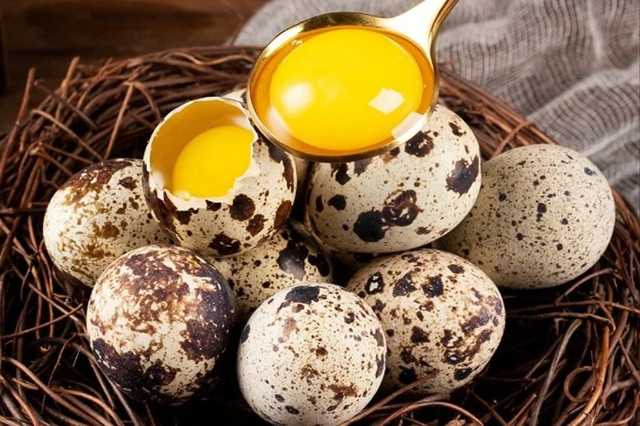 Loại quả “nhỏ mà có võ”, giàu protein, tăng cường trí não - Hình 2 Loai qua “nho ma co vo”, giau protein, tang cuong tri nao-Hinh-2