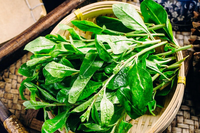 Loại rau "vua bổ gan", cải thiện thị lực, tăng cường miễn dịch - Hình 4 Loai rau