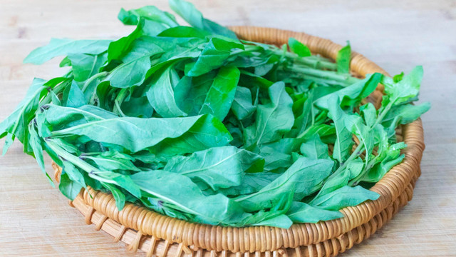 Loại rau "vua bổ gan", cải thiện thị lực, tăng cường miễn dịch - Hình 7 Loai rau