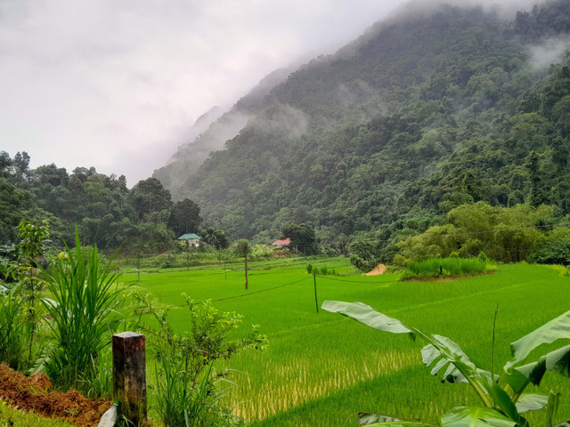 Những món đặc sản ở Pù Luông, ngon ngọt lại bổ dưỡng Nhung mon dac san o Pu Luong, ngon ngot lai bo duong