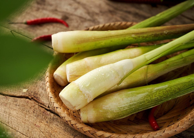 Loại rau “nhân sâm nước”, giàu vitamin, giúp giảm cân - Hình 2 Loai rau “nhan sam nuoc”, giau vitamin, giup giam can-Hinh-2