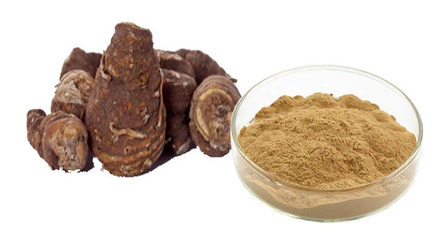 Cây hoa tên “xấu như quỷ”, giá tiền triệu/kg, cứ đào là hốt bạc - Hình 4 Cay hoa ten “xau nhu quy”, gia tien trieu/kg, cu dao la hot bac-Hinh-4