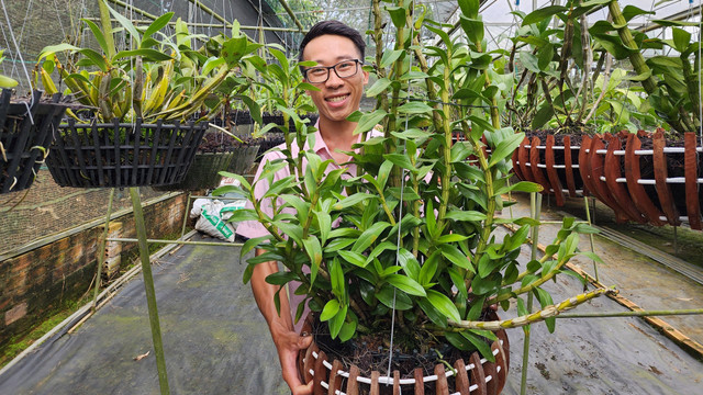 Trồng lan rừng thành công, trai Lâm Đồng nhận lương cao, lãi 1 tỷ/năm Trong lan rung thanh cong, trai Lam Dong nhan luong cao, lai 1 ty/nam