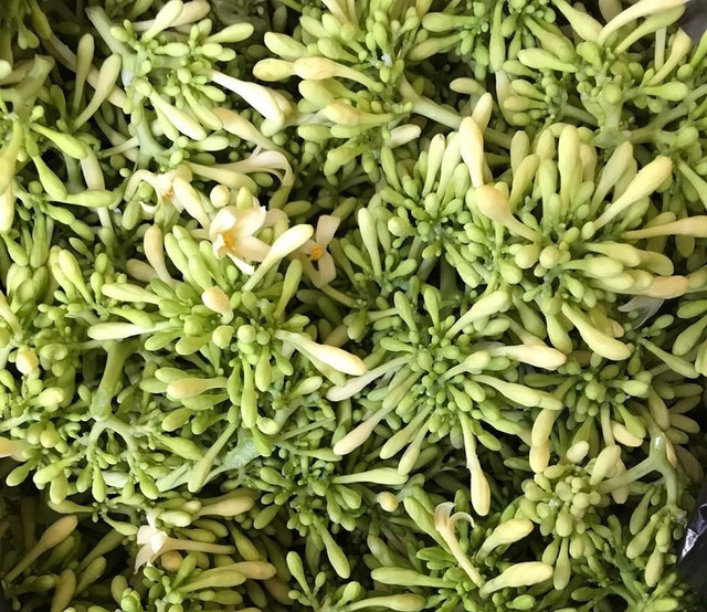 Loại hoa xưa nhiều người vứt bỏ, nay được lùng mua với giá cả triệu đồng/kg - Hình 2 Loai hoa xua nhieu nguoi vut bo, nay duoc lung mua voi gia ca trieu dong/kg-Hinh-2