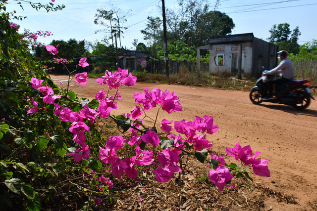 Những nông dân bỗng thành tỷ phú ở vùng dự án sân bay Long Thành - Hình 9 Nhung nong dan bong thanh ty phu o vung du an san bay Long Thanh-Hinh-9