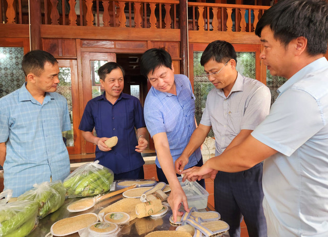 Loại quả bổ dưỡng, ở Nghệ An để già mới bán, tiền thu đều tay - Hình 6 Loai qua bo duong, o Nghe An de gia moi ban, tien thu deu tay-Hinh-6