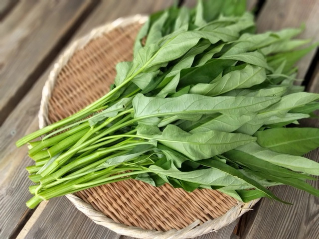 Các loại rau quen thuộc có thể là “ổ chứa” giun sán - Hình 2 Cac loai rau quen thuoc co the la “o chua” giun san-Hinh-2