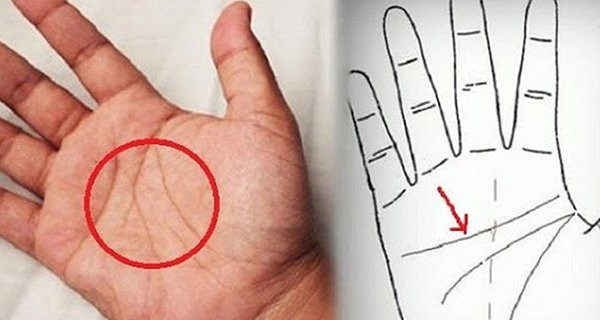 Bàn tay có 5 điểm này là người có của, tiền tiêu cả đời không hết Ban tay co 5 diem nay la nguoi co cua, tien tieu ca doi khong het