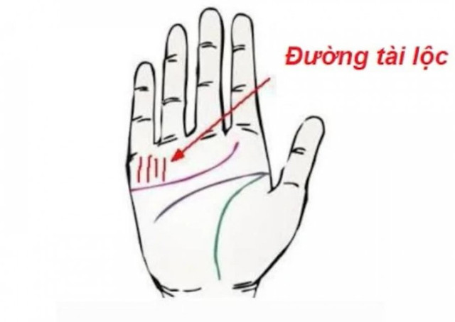Bàn tay có 5 điểm này là người có của, tiền tiêu cả đời không hết - Hình 2 Ban tay co 5 diem nay la nguoi co cua, tien tieu ca doi khong het-Hinh-2