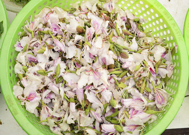 Hoa rừng Tây Bắc xuống phố Hà Nội 150 nghìn/kg ‘xếp hàng’ mua để... ăn - Hình 3 Hoa rung Tay Bac xuong pho Ha Noi 150 nghin/kg ‘xep hang’ mua de... an-Hinh-3