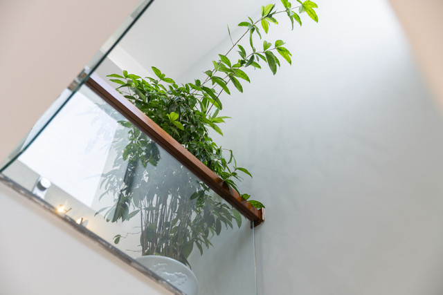 Nhà phố không có giếng trời nhưng sáng, thoáng nhờ thiết kế độc đáo ảnh 19 Nhà phố không có giếng trời nhưng sáng, thoáng nhờ thiết kế độc đáo ảnh 19