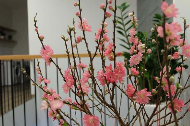 Nhà phố 3 tầng ở Đà Nẵng khắc phục được nhược điểm thiếu sáng - Hình 20 Nha pho 3 tang o Da Nang khac phuc duoc nhuoc diem thieu sang-Hinh-20