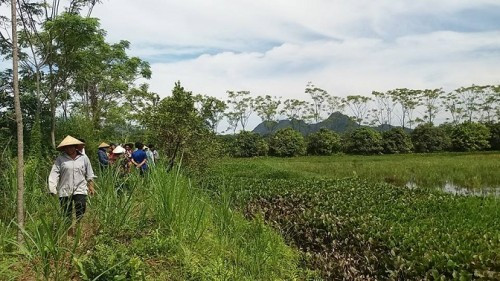 Nghe tin chị H. mất tích, cả xóm xôn xao cùng đổ đi tìm. Mãi đến 23h, một nhóm hoảng hốt khi phát hiện bãi đất cạnh ao ở sát Trường Công nhân kỹ thuật đóng trên địa bàn xã có dấu hiệu xáo trộn. Tìm kiếm dưới ao thì phát hiện xác chị H.. chân tay bị trói chặt, mắt bị bịt bằng quần áo của của chính nạn nhân. Thân thể chị chìm dưới ao bèo và bị đè bởi những hòn đá to, nặng. (Ảnh minh họa, nguồn internet)