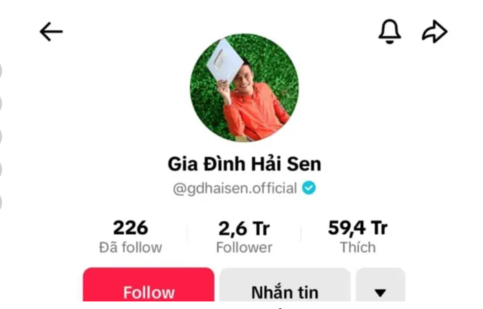 Trong tháng cao điểm về tăng cường đấu tranh chống hàng giả, qua việc nắm tình hình trên không gian mạng, Công an tỉnh Ninh Bình phát hiện tài khoản mạng xã hội TikTok “Gia đình Hải Sen” của Lê Văn Hải là thành viên sáng lập của Công ty TNHH Hải Bé. Tin Hải bị bắt khiến "Gia đình Hải Sen" trở thành từ khóa được tìm kiếm rất nhiều trên mạng xã hội.