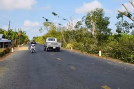 Cà Mau: Gói thầu Tắc Thủ - Vàm Đá Bạc chỉ một nhà thầu tham dự, tiết kiệm thấp