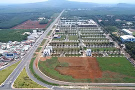 Đồng Nai: Khẩn trương triển khai Nghị định 49 gỡ vướng Luật Đất đai