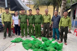 Cà Mau: Phát hiện 22 con chồn hương trên vỏ lãi bị bỏ lại khi kiểm tra