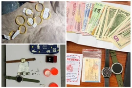 Truy bắt kẻ trộm tài sản trị giá trên 1,5 tỷ đồng tại Tây Ninh