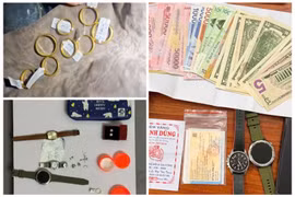 Truy bắt kẻ trộm tài sản trị giá trên 1,5 tỷ đồng tại Tây Ninh