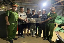 Lâm Đồng: Người dân giao nộp nhiều động vật hoang dã quý hiếm