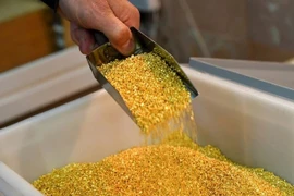 Giá vàng 24/6: Vàng miếng “đứng yên”, rủi ro lướt sóng tăng mạnh