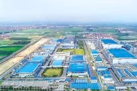 Cà Mau đầu tư hơn 61 tỷ đồng xây đường vào Khu công nghiệp Hòa Trung