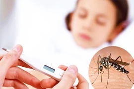 Dịch sốt xuất huyết bùng phát mạnh tại Tây Ninh, 3 trường hợp tử vong