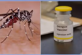 Đồng Nai: 9.000 ca sốt xuất huyết, cảnh báo bùng phát dịch