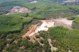 Đồng Nai: Hủy hoại gần 0,5 ha đất nông nghiệp, một cá nhân bị phạt 70 triệu