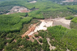 Đồng Nai: Hủy hoại gần 0,5 ha đất nông nghiệp, một cá nhân bị phạt 70 triệu