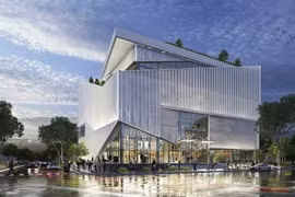 Cần Thơ: Di dời 14 cây cổ thụ để thi công dự án Thư viện gần 150 tỷ đồng