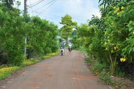 Ban QLDA ĐTXD Khu vực Long Đất mời thầu gói nâng cấp tuyến đường hơn 25 tỷ 