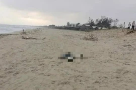 Đà Nẵng: Phát hiện hai thi thể tại các bãi biển, công an khẩn trương xác minh