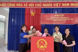 Cà Mau ghi nhận 10 xã, phường hoàn thành 100% cử tri bỏ phiếu