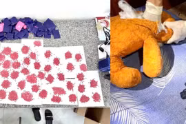 Triệt phá đường dây ma túy liên tỉnh, thu giữ hơn 9kg ma túy tổng hợp